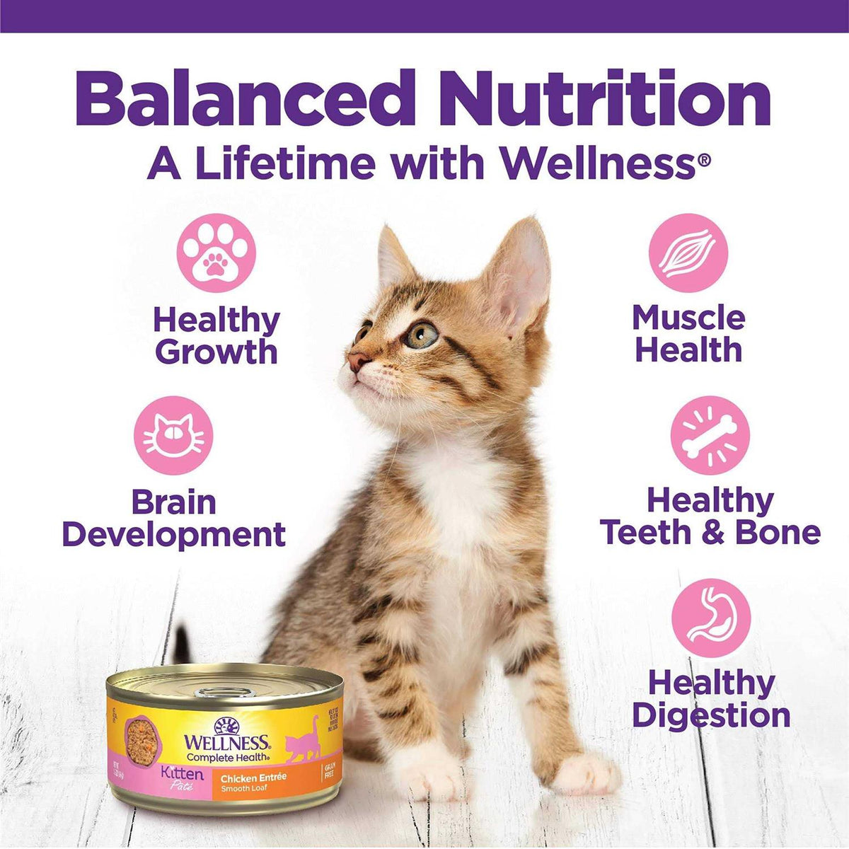 Whitefish & Tuna Wet Cat Food G630