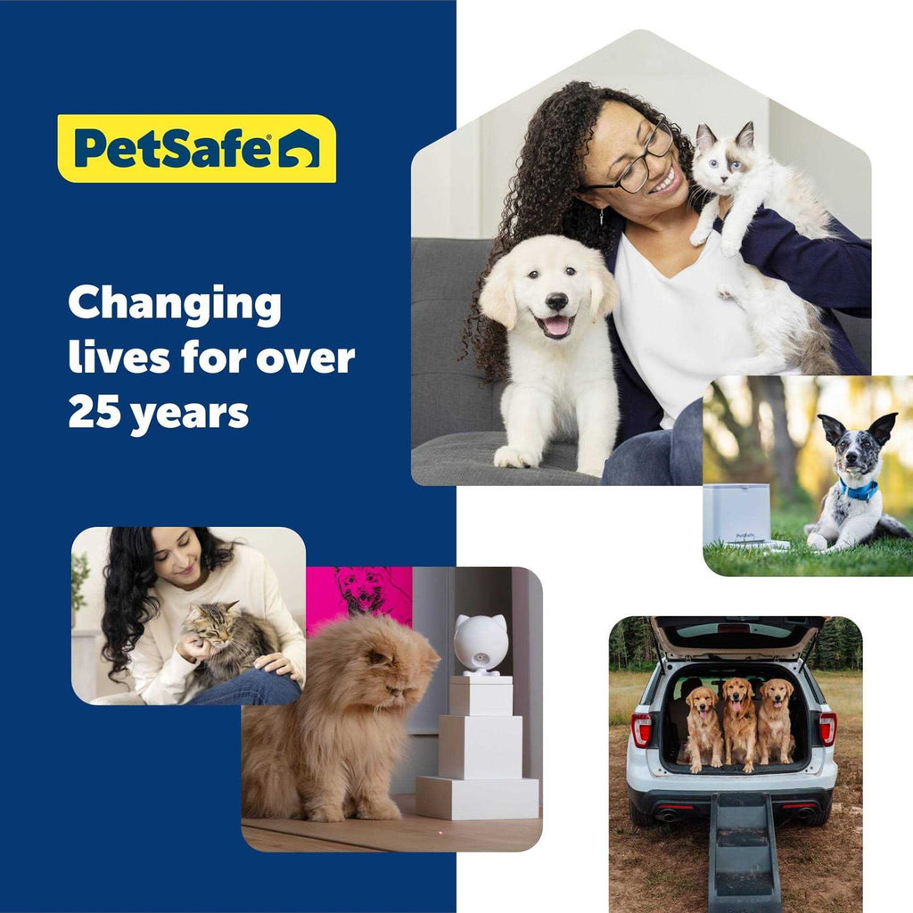 Cat Toy G1204