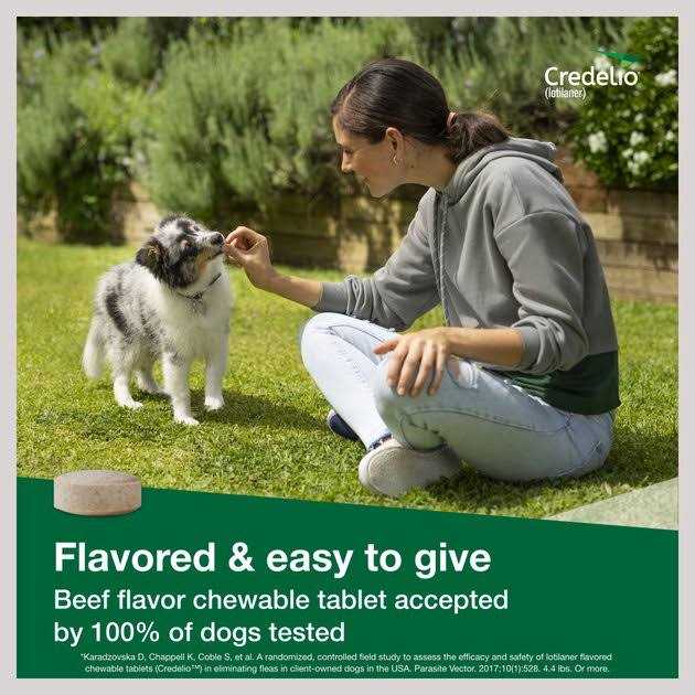 Chewable Tablet for Dogs T79970