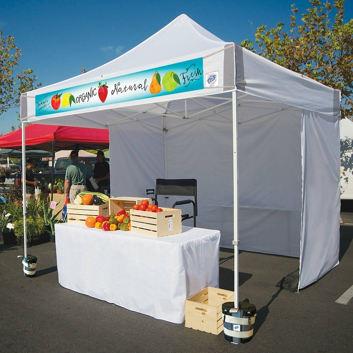 10 x 10 Instant Shelter Canopy L504880