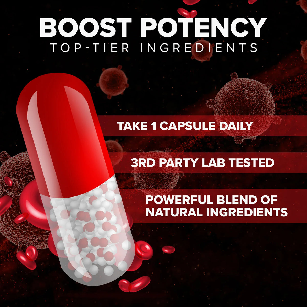 Blood Support Capsules W731869