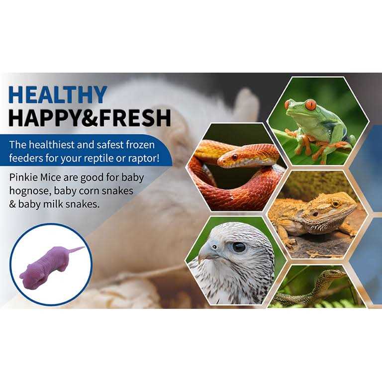 Frozen Mice Feeders Combo Pack, 150 Count L493555