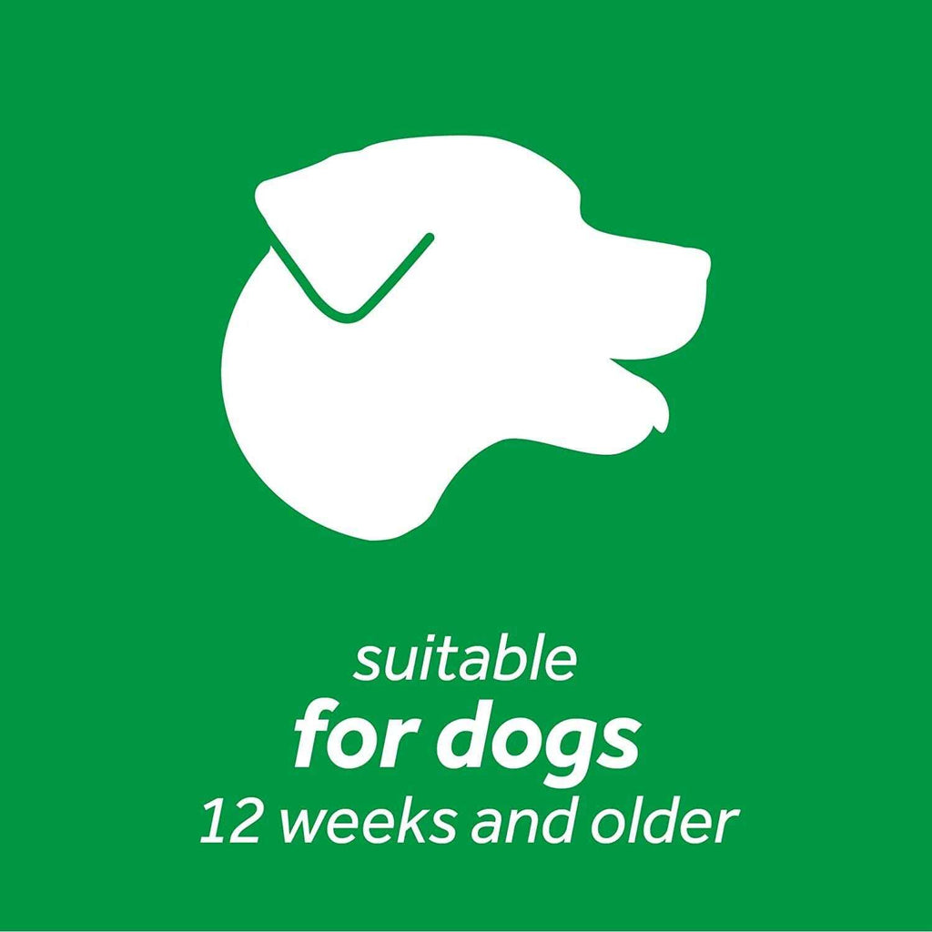 Dog Water Additive B5056