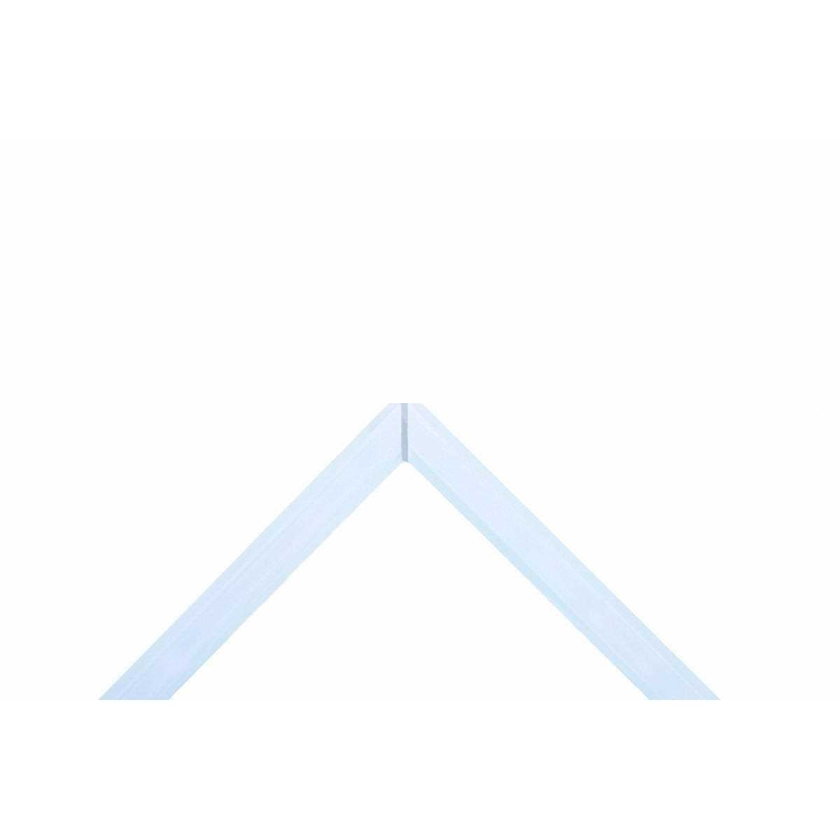 20 Gallon Ultra Clear Rimless Aquarium M245333