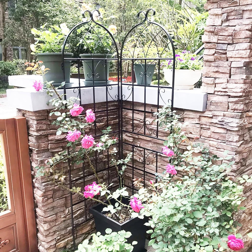 2 Pack Large Heavy Duty Rustproof Black Iron Plant Trellis L602