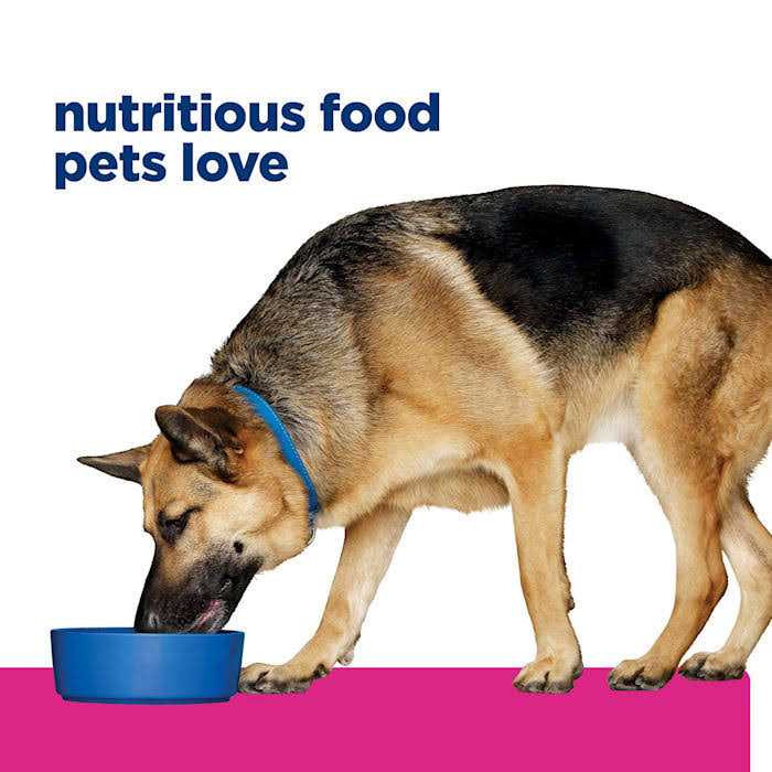 Chicken & Vegetable Stew Wet Dog Food Z262