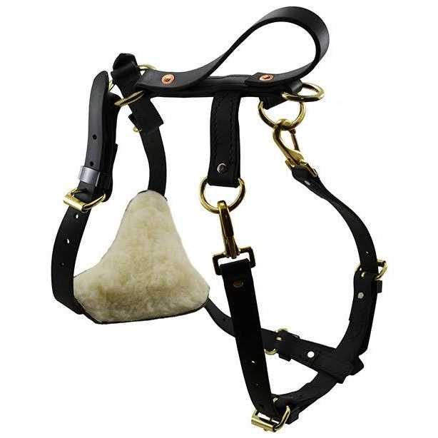 Biothane Multi-Function Harness H15727