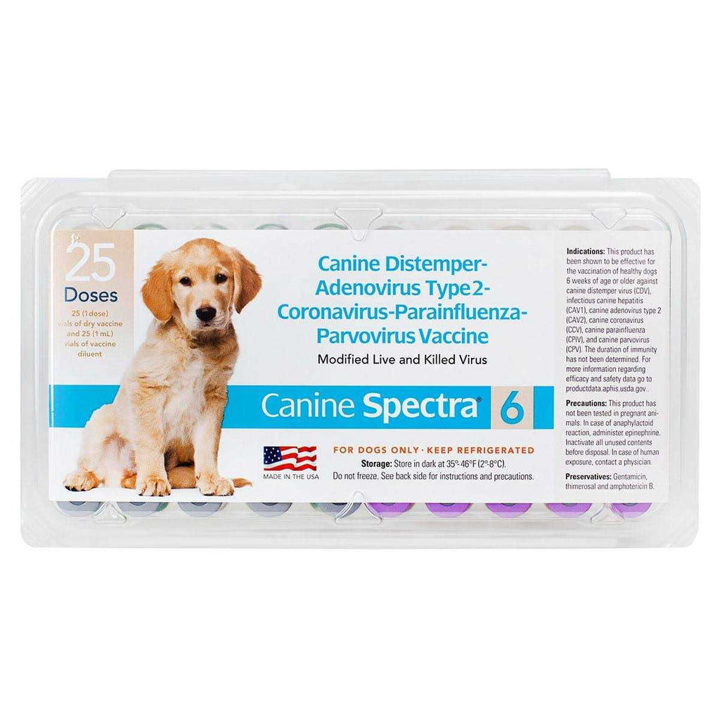 Dog Vaccine I73717