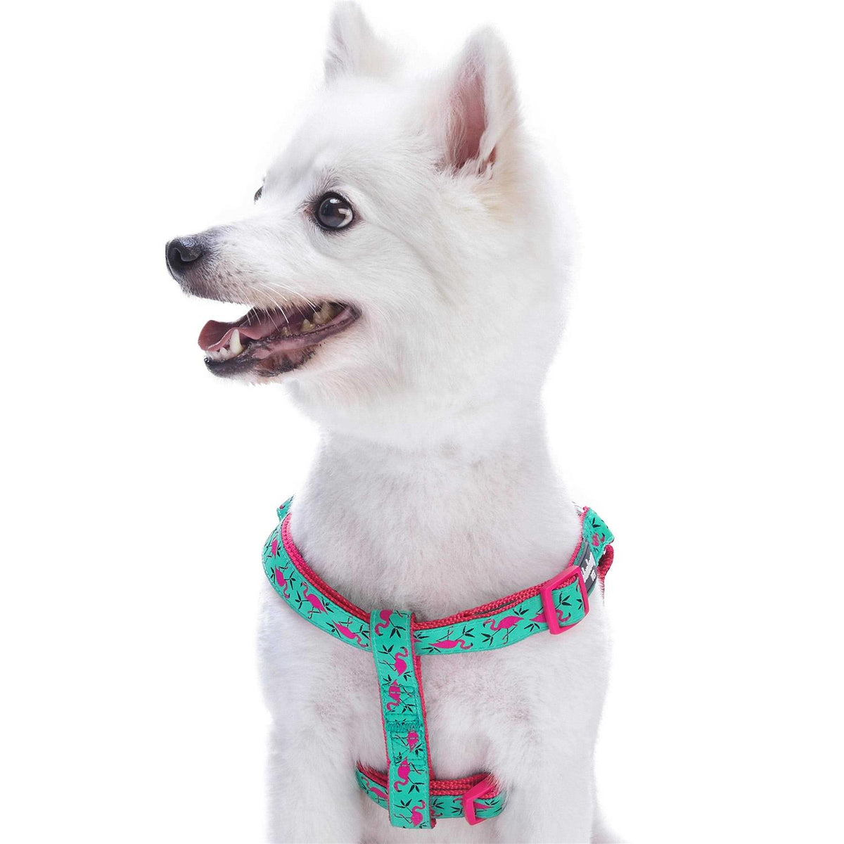 Step Dog Harness O466017