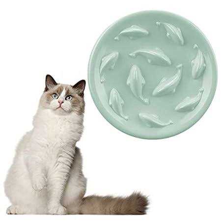 Slow Feeder Bowl for Cats and Small Dogs B84012