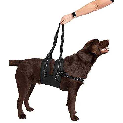 Veterinarian Approved Dog Sling Assist with Chest Strap S482385
