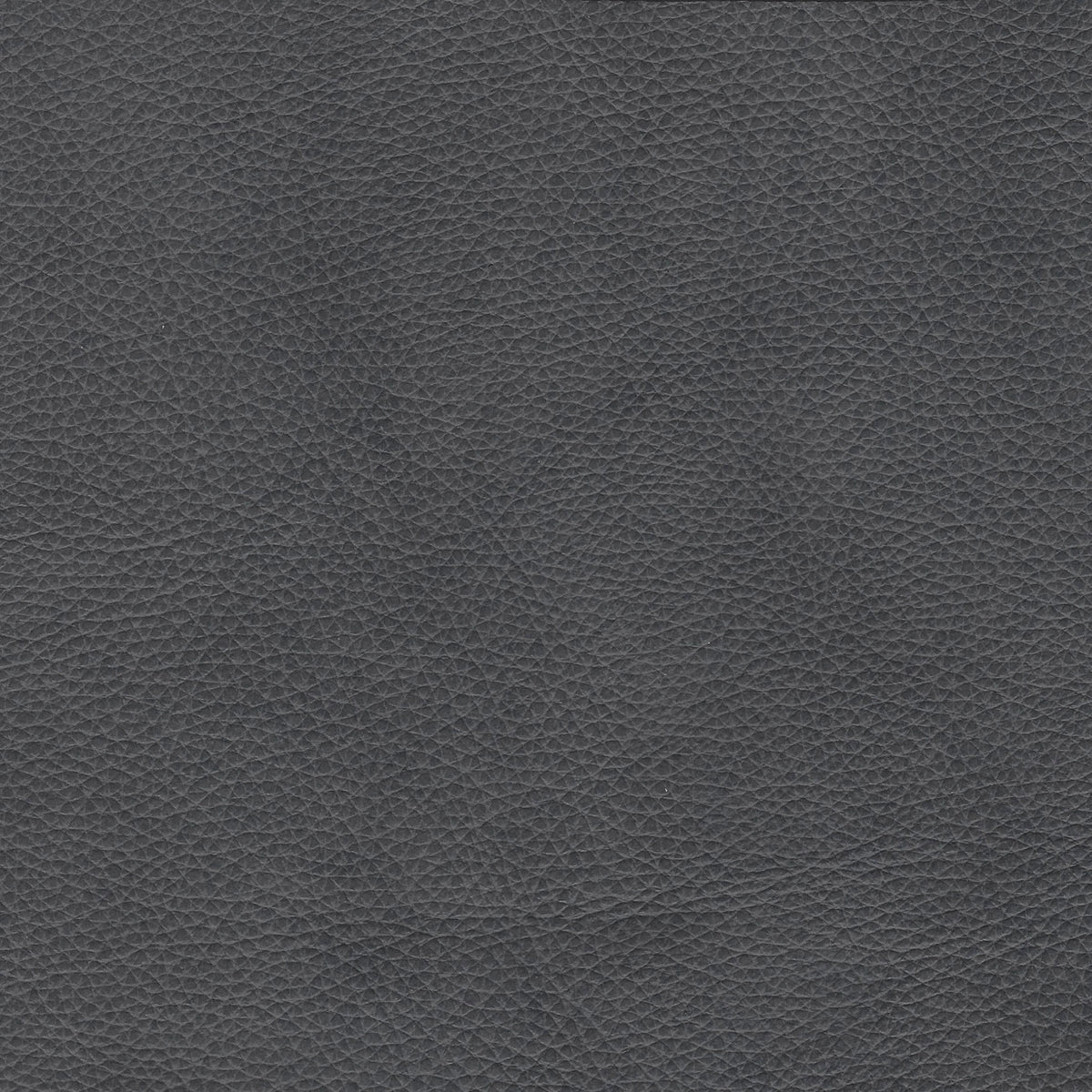 Blue Top Grain Leather Loveseat Z234