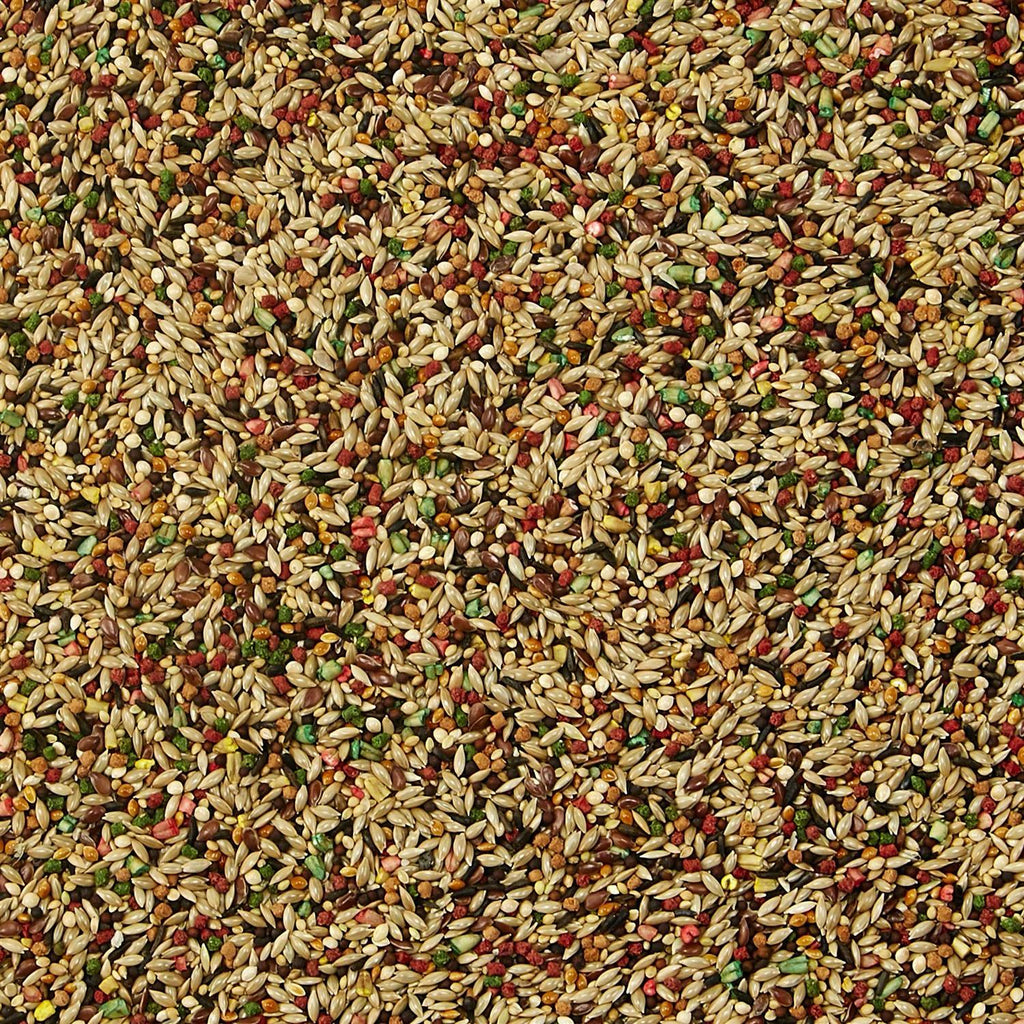 Canary Finch Food K16292