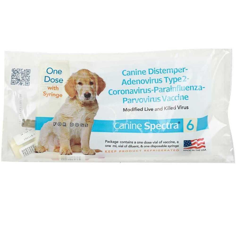 Dog Vaccine I73717