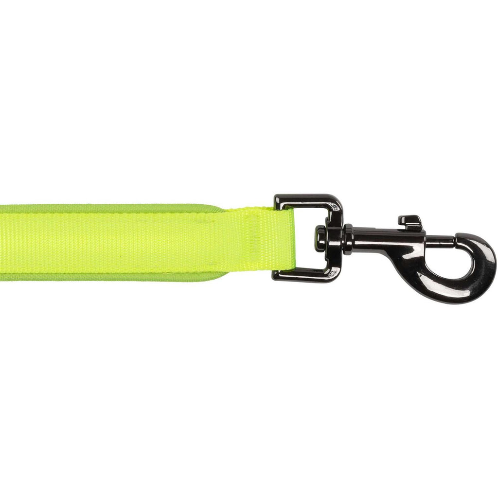 Rechargeable LED Leash N5663