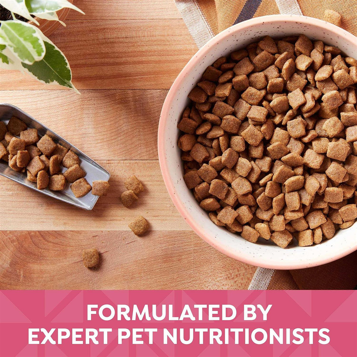 Grain Free Dry Dog Food A821982