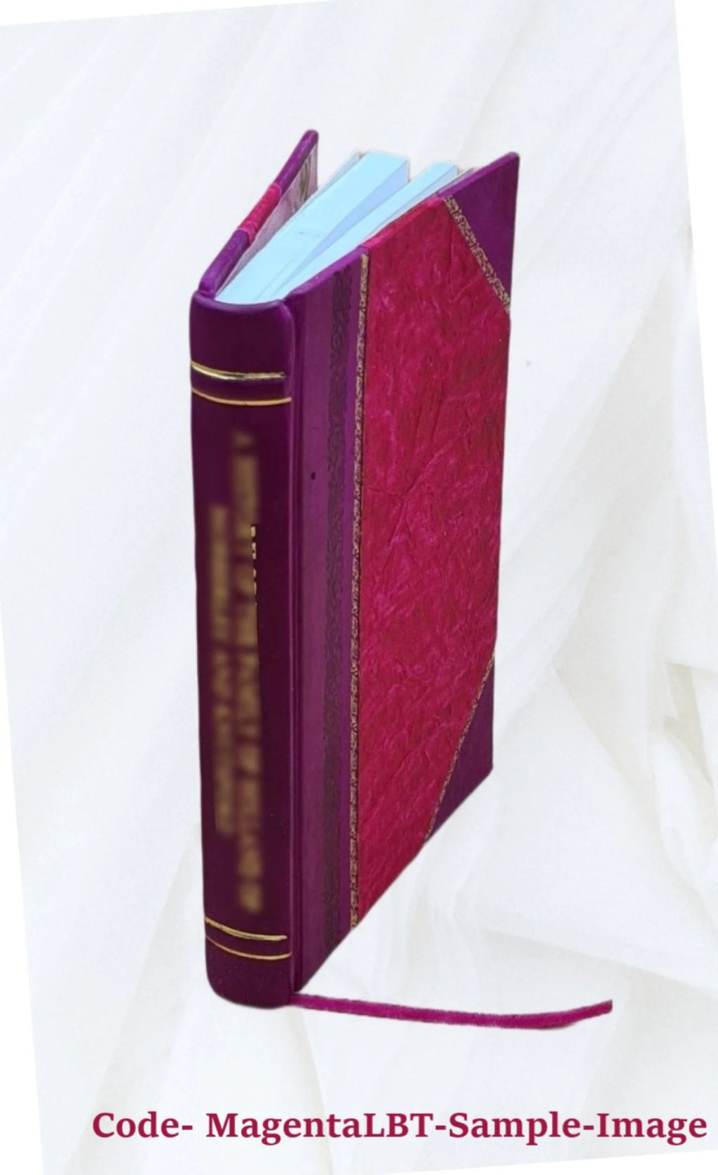 Theatrical Representation Leather Bound G231778
