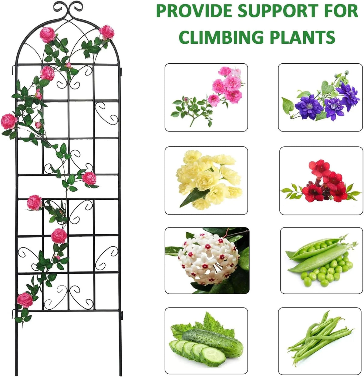 2 Pack Large Heavy Duty Rustproof Black Iron Plant Trellis L602