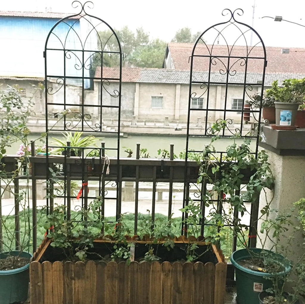 2 Pack Large Heavy Duty Rustproof Black Iron Plant Trellis L602