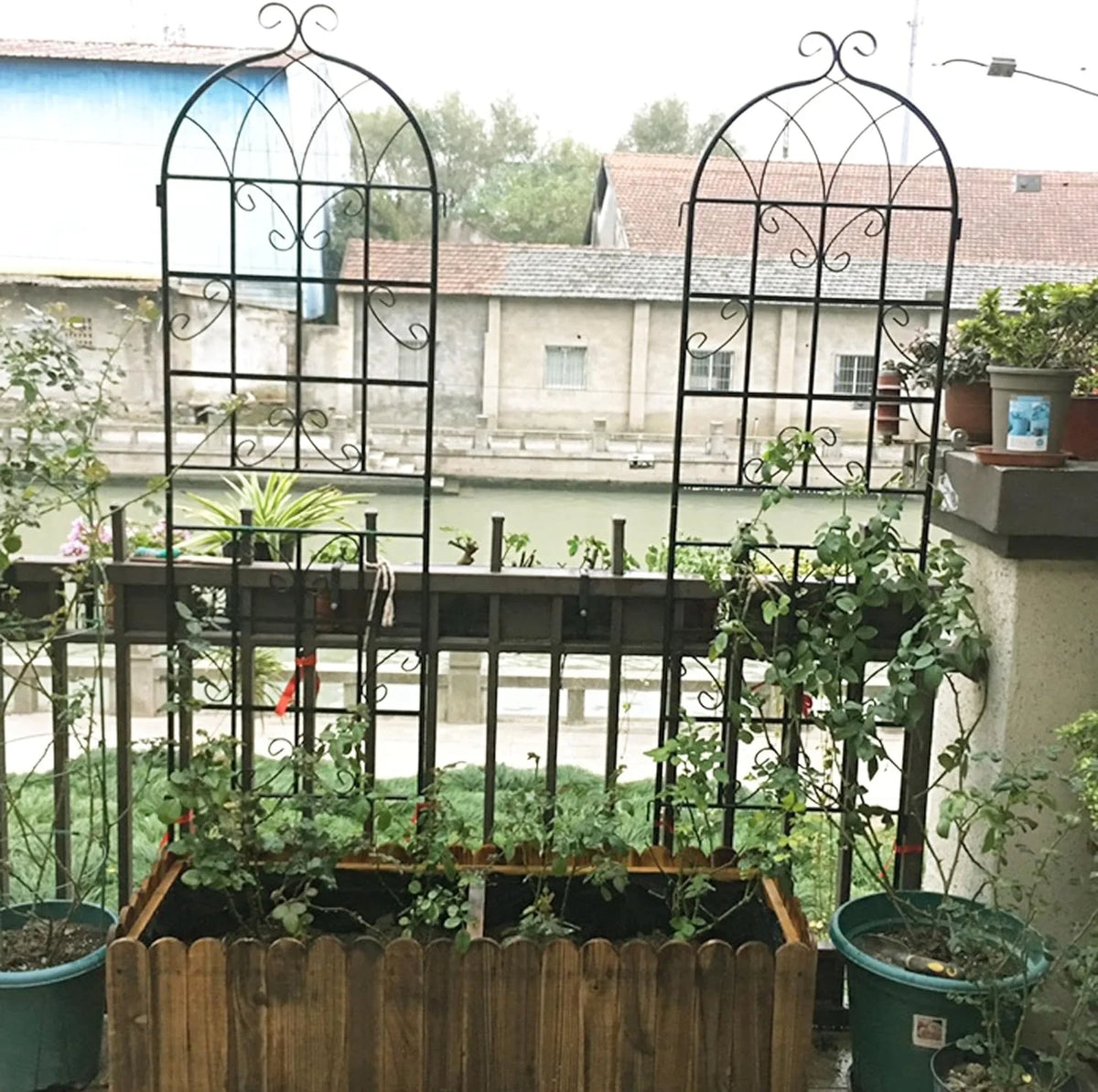 2 Pack Large Heavy Duty Rustproof Black Iron Plant Trellis L602