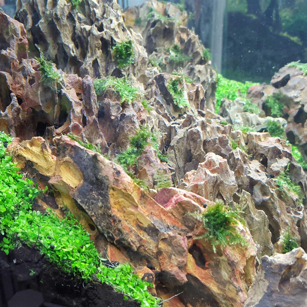 25 Gallon Aquarium Kit S632