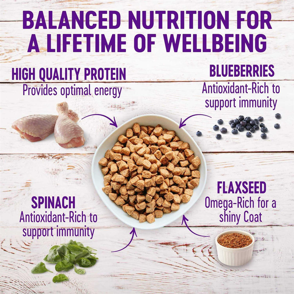 Chicken Senior Dry Dog Food Q888555
