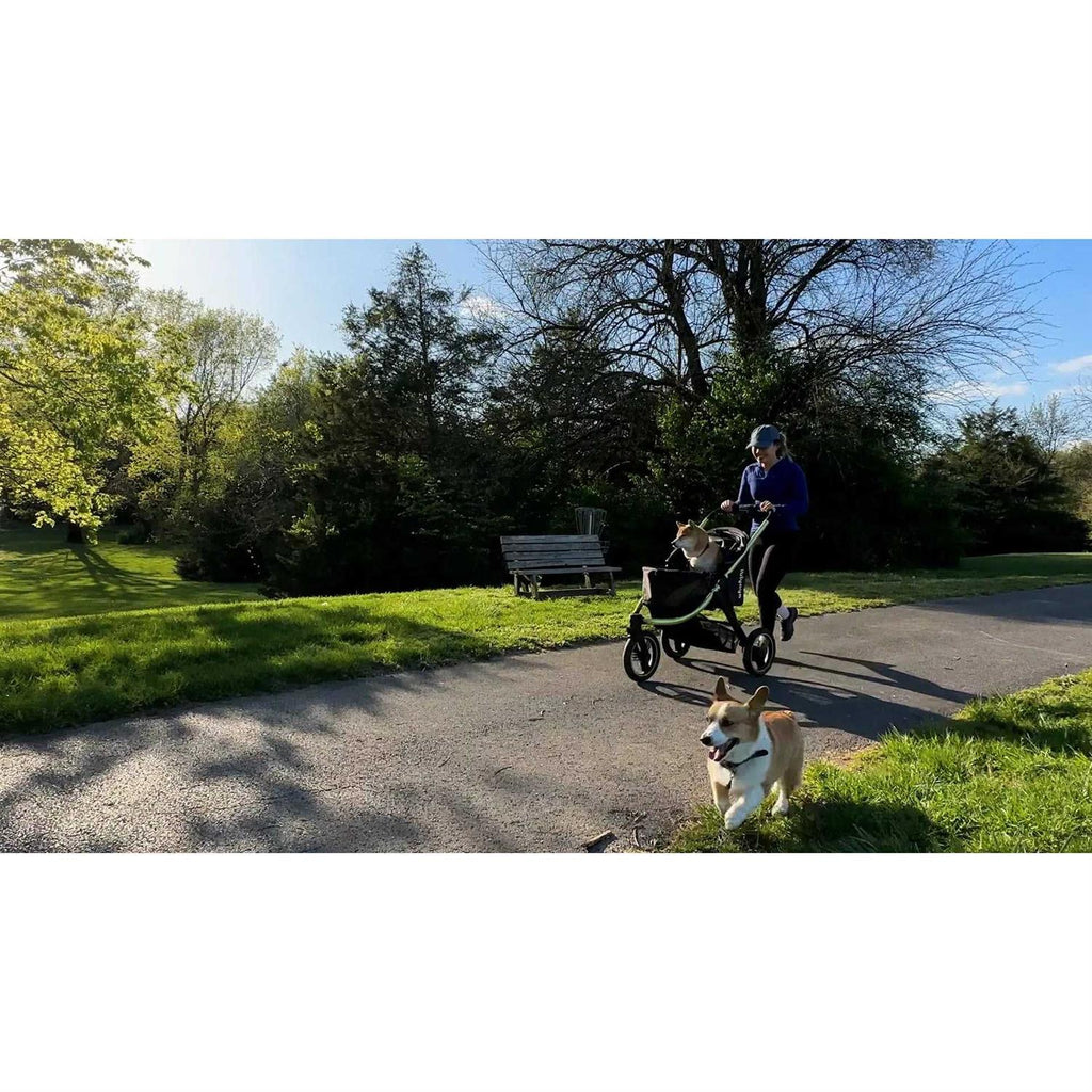 All Terrain Pet Jogging Stroller D24308