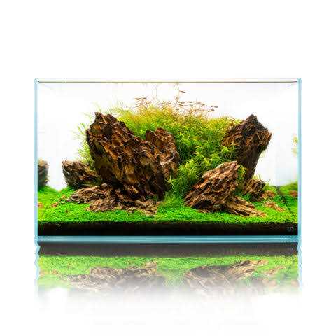 20 Gallon Ultra Clear Rimless Aquarium M245333