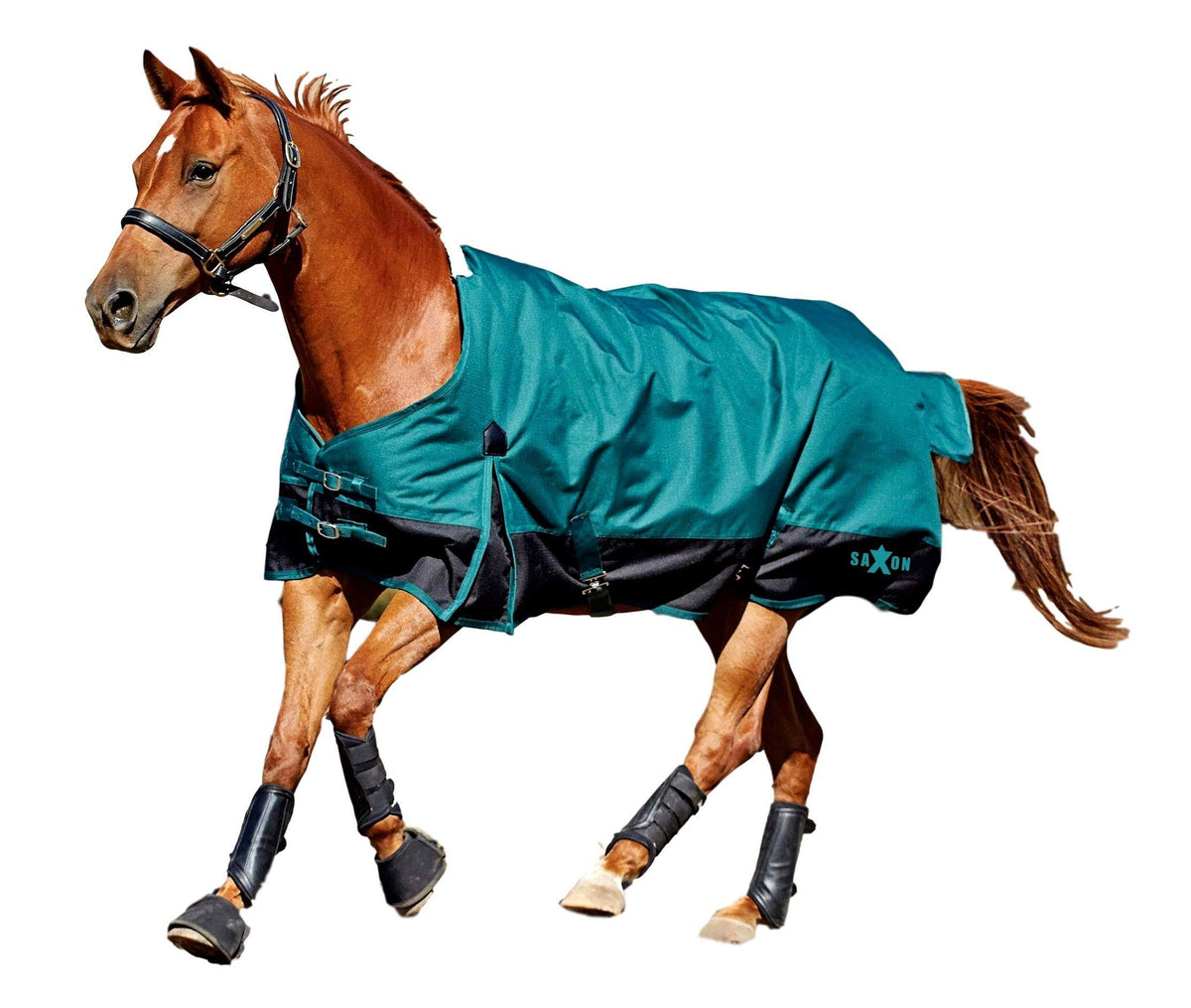 1200D Turnout Sheet T8101