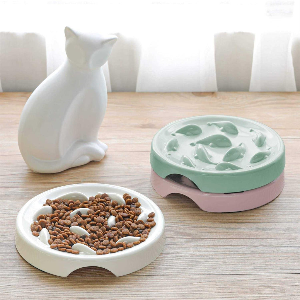 Slow Feeder Bowl for Cats and Small Dogs B84012