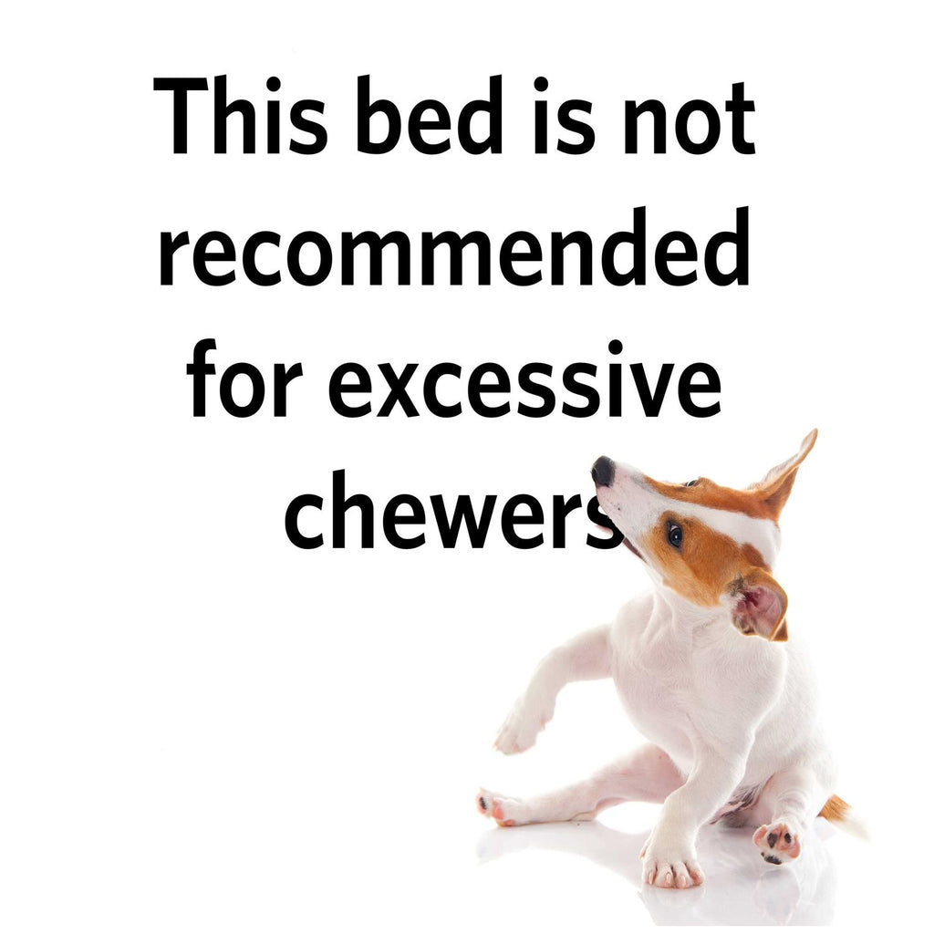 Quiet Time Maxx Pet Bed I47567