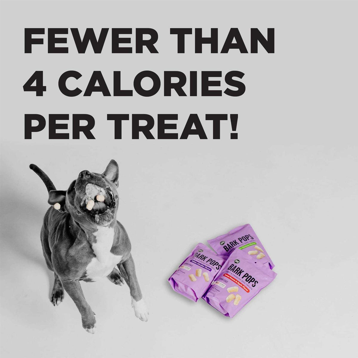 Dog Treats E961