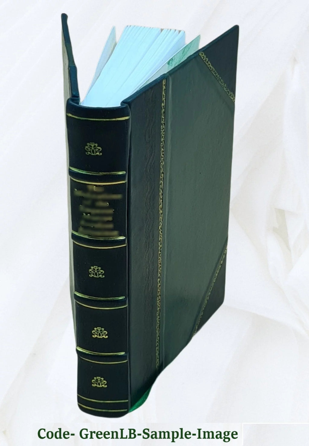 Leather Bound B497861