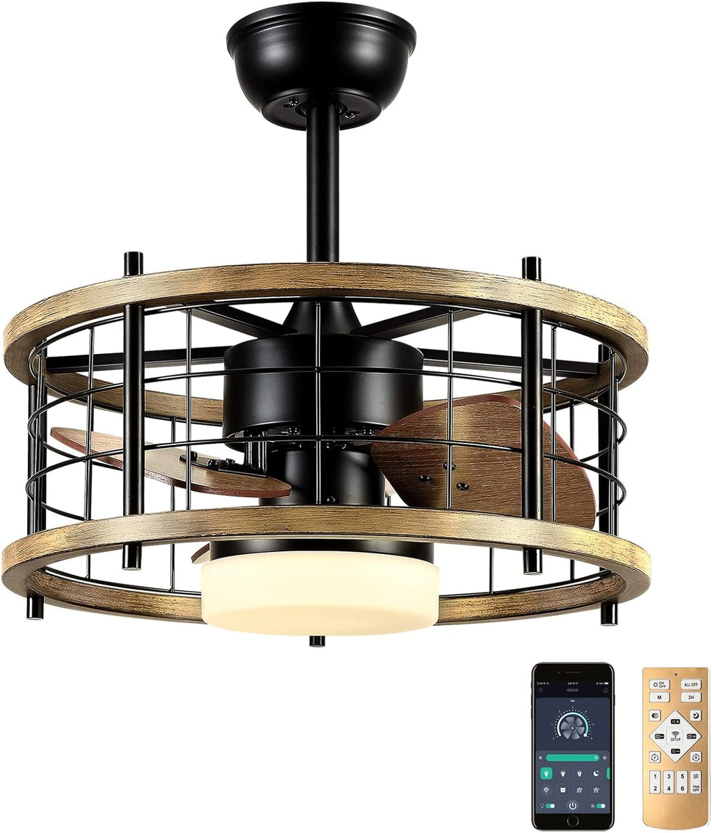 20'' Bladeless Ceiling Fan with Lights Remote Control D795